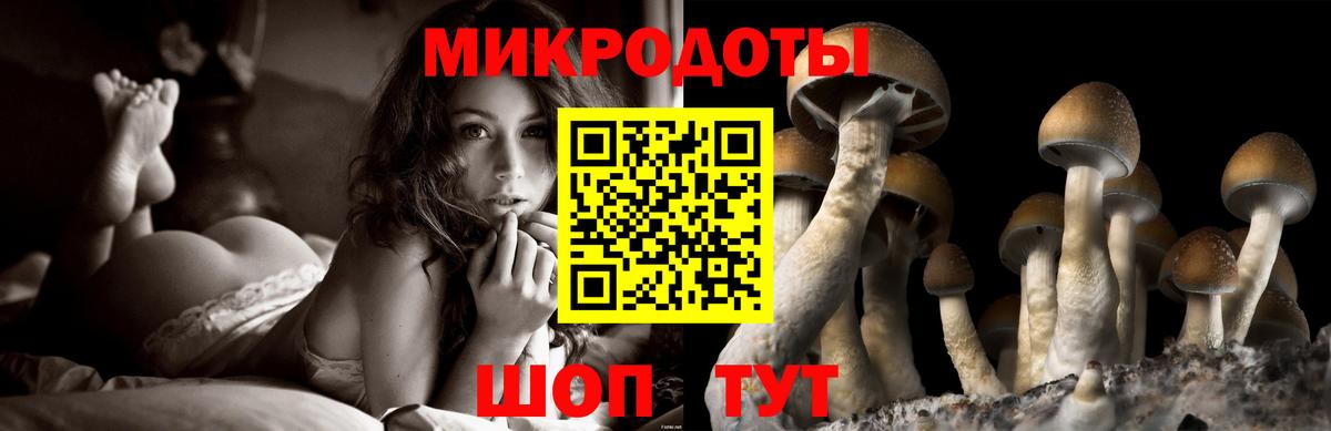 Галлюциногенные грибы прущие грибы  Псилоцибиновые грибы прущие грибы  Вход с VPN  Белая Калитва 
